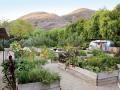 Zahradu v Kalifornii (Malibu) pro herce Patricka Dempseyho narhl Scott Shrader. Květiny, zelenina a bylinky jsou umístěny ve vyvýšených záhonech, které jsou vyrobeny ze starých desek lešení. Povrch cest je štěrkový (Foto: Roger Davies)