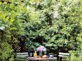 Prodejci umění Laurence a Patrick Seguin snídají ve své pařížské zahradě pod tyčící se magnolií (Foto: Simon Watson)